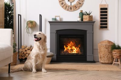 Electric Fireplace Repair